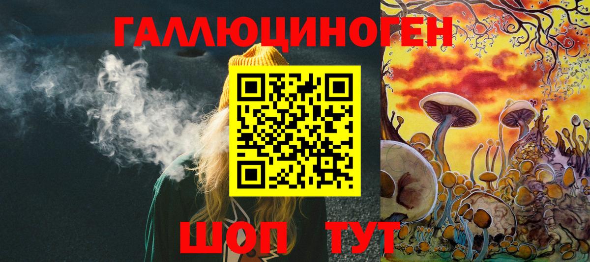 Псилоцибиновые грибы Cubensis Хасавюрт
