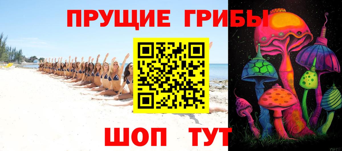 Хасавюрт  Галлюциногенные грибы прущие грибы  Вход с VPN 